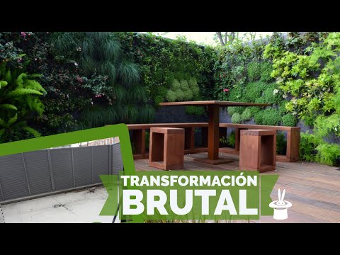 Vídeo: Triar Vinyes Per A La Decoració Vertical Del Jardí