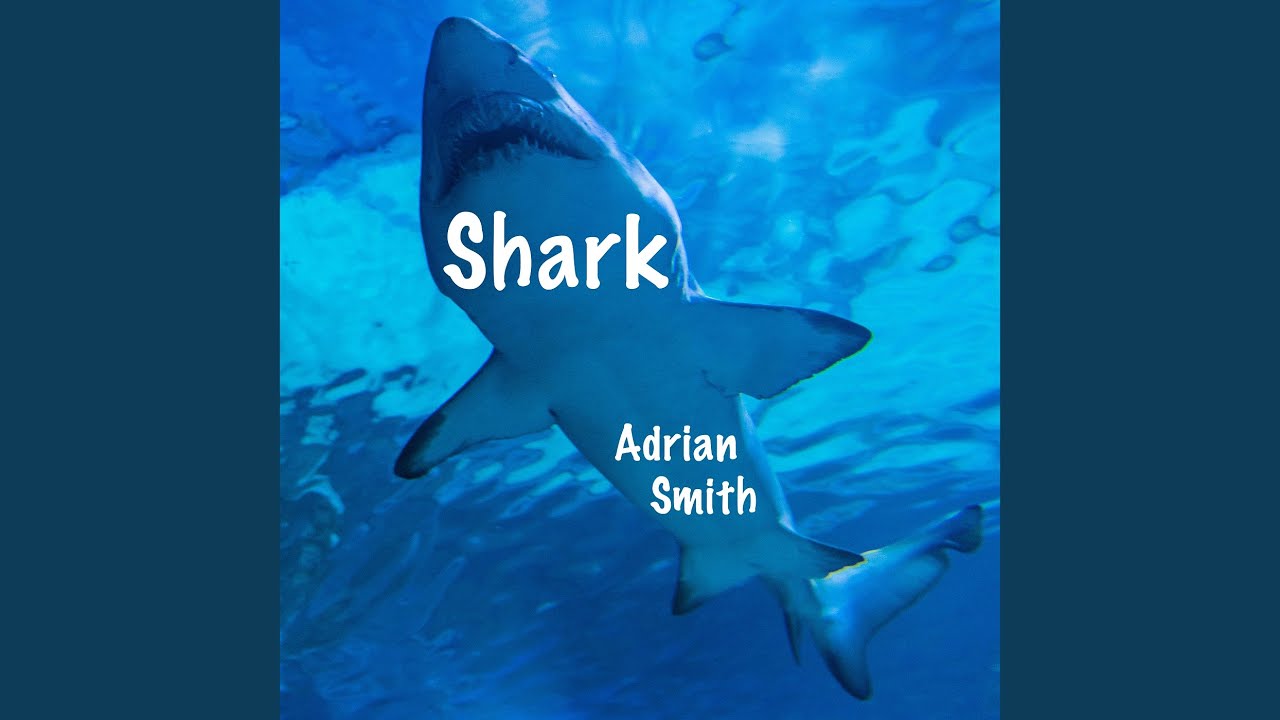 Watch Shark on YouTube Watch Shark on YouTube