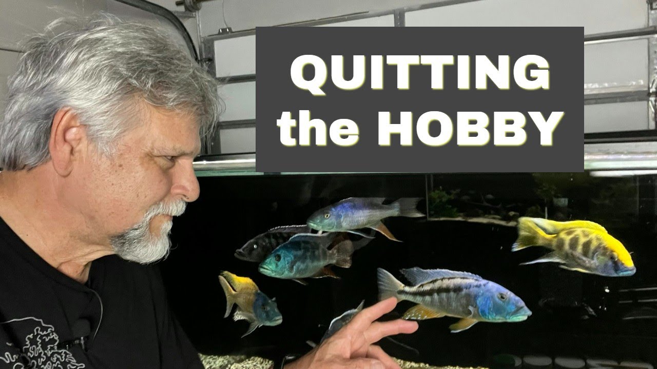 WHY People *QUIT KEEPING FISH!* - YouTube