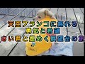 天空ブランコに揺れる勇気と希望さい君と煌めく展望台の旅