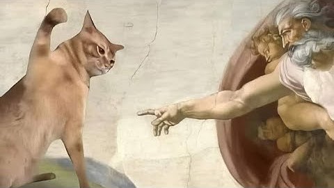 Yet another Cod mw3 ffa win