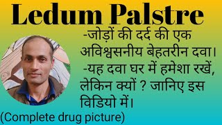 Ledum Palstre | Ledum Pal Homeopathic Medicine Uses | Homeopathic medicine for Rheumatism and injury