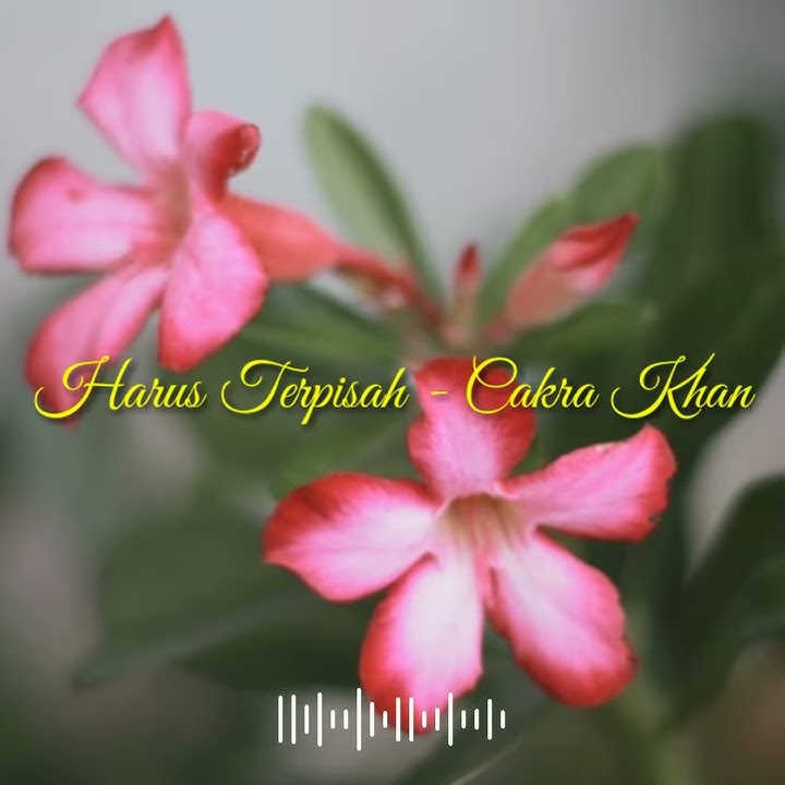 Cakra Khan - Harus Terpisah