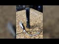 Comparing two torch lighters. | Weeleesh Health &amp; Household Review