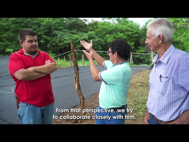 Milk, cheese and sustainability: the livestock model of Don Alfredo Sandoval