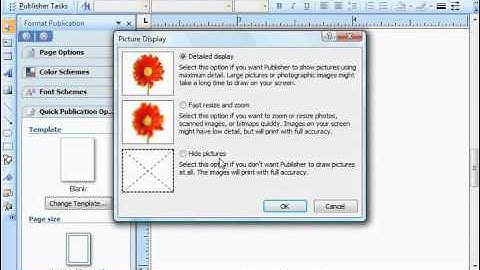 Publisher 2003 Tutorial Setting Picture Display Options Microsoft Training Lesson 7.1