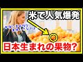 【海外の反応】衝撃的な味だ!!日本発ある食品にアメリカ人絶賛の声!!人気の理由とは!?