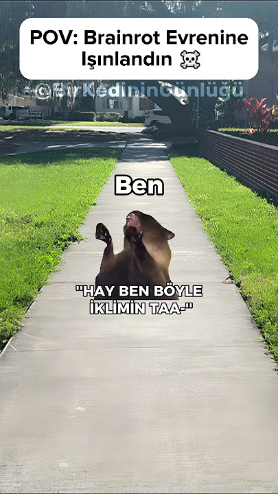 POV: Brainrot Evrenine Işınlandın ☠️ #shorts