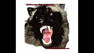 Juniper Fields & User2222 - Animal