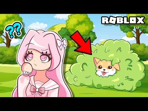 Where is The Puppy??? | Roblox | Find The Puppies