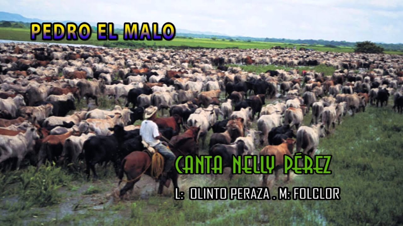 NELLY PEREZ PEDRO EL MALO