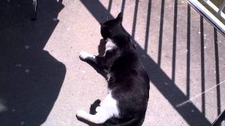 VID-20130428-00001