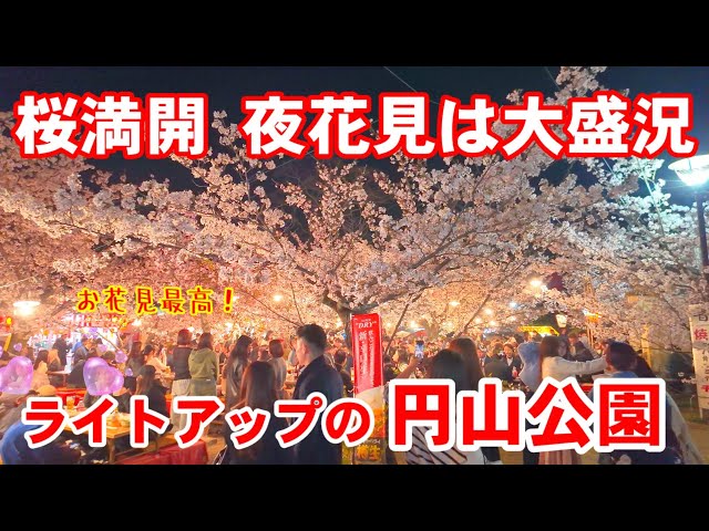 お花見 sddefault.jpg