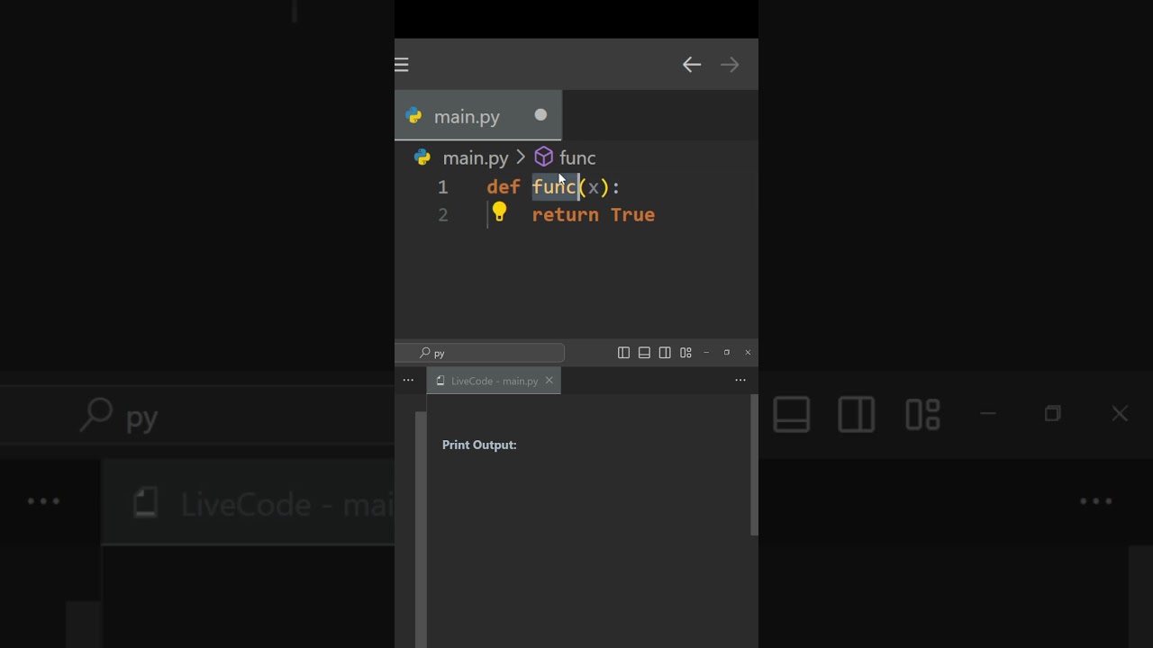 Самый точный преподаватель Python 