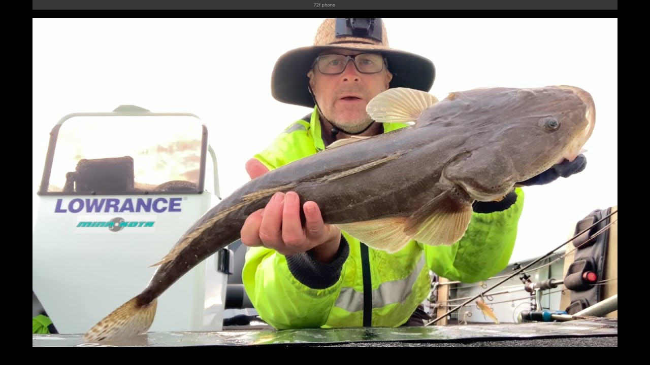Catching Jewfish and Flathead Lake Macquarie YouTube