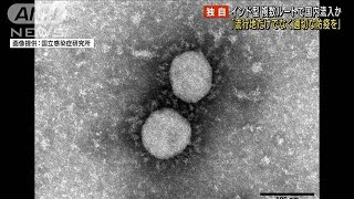 インド型　複数ルートで流入か　慶応大研究グループ(2021年6月5日)
