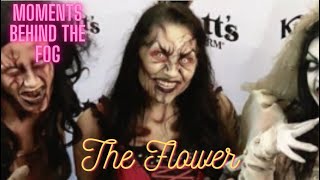 Beyond the Veil | Knotts Scary Farm Stories with Jenn | Beyond the Fog @FracturedCompass