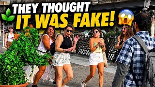 Bushman Prank This Bush Ruined Their Day