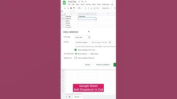 Excel Add Dropdown Hack #shorts #excel #hack #trick #tips #copypaste #fyp #trending #skills