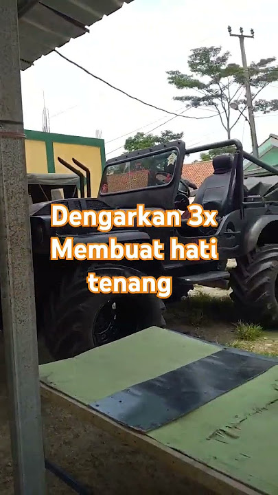 14 November 2024