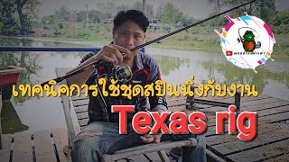 เทคนิคการใช้งานชุดสปินนิ่งกับงาน Texas rig