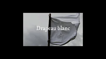 Sébastien Marois - Drapeau blanc