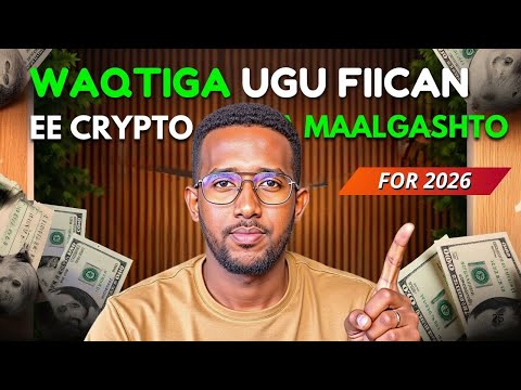 Waqtigee ugu fiican ee Crypto la maalgashtaa | Wrong Time