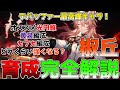 【崩壊スターレイル】椒丘の性能、ビルド完全ガイド!黄泉と相性抜群の被ダメデバフがやばすぎる激強デバッファー!オススメ光円錐、遺物、凸性能。黄泉編成やカフカ編成がどれくらい強くなるかも検証!