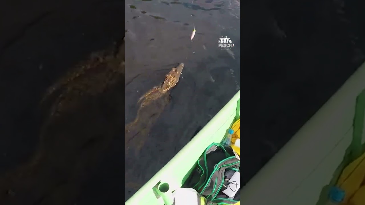 Depois não diga que é mentira! 😂🎣