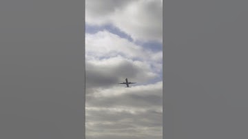 Better live while you’re in it😘 #countrymusic #2025 #travel