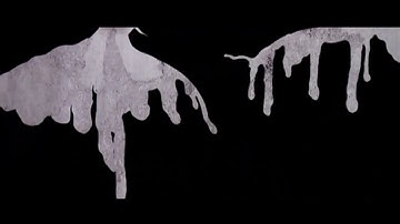 ~Presentation Of The Channel And Official Intro~  (Read Description)