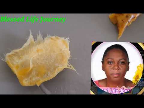 How a Jamaican eats mango 🥭