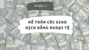 Kế toán các giao dịch bằng ngoại tệ- P7: Nguyên tắc kế toán chênh lệch tỷ giá hối đoái