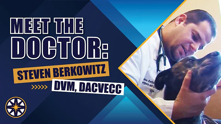Meet the NorthStar VETS team: Steven Berkowitz, DVM