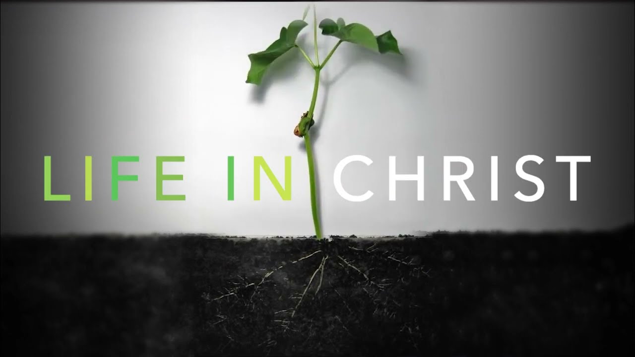 1 John Sermon Series Trailer Life In Christ EFCCL June 2017 YouTube 1 John Sermon Series Trailer Life In Christ EFCCL June 2017 YouTube
