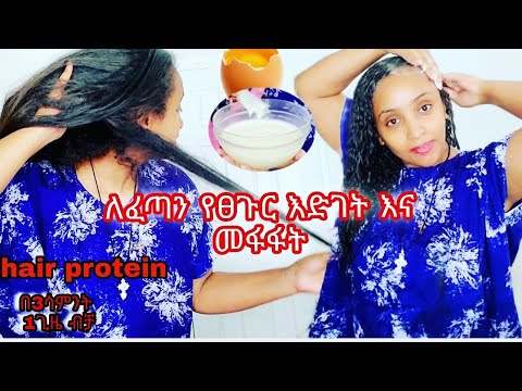 ቪዲዮ: የእንቁላል እፅዋት ጉዳት እና ጥቅሞች ለሰውነት