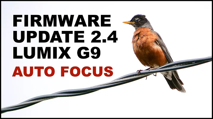 Lumix G9 Firmware Update 2.4: Auto Focus