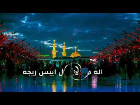 퇇 ღ علي لو زینب نختني بضیجه مرتضی حرب حالات واتساب ღ