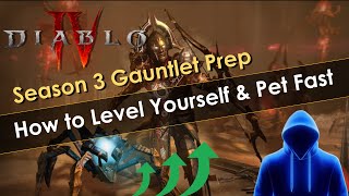 Super Easy Way to Level Up Yourself and Pet in Vaults