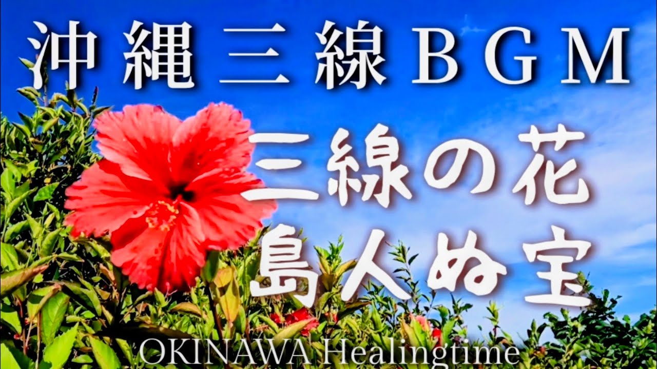 【三線の花/島人ぬ宝】沖縄の癒される絶景と三線のBGM