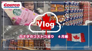 ほぼ毎週通ってます！｜カナダ｜コストコ購入品！｜カナダ🇨🇦在住国際ファミリー