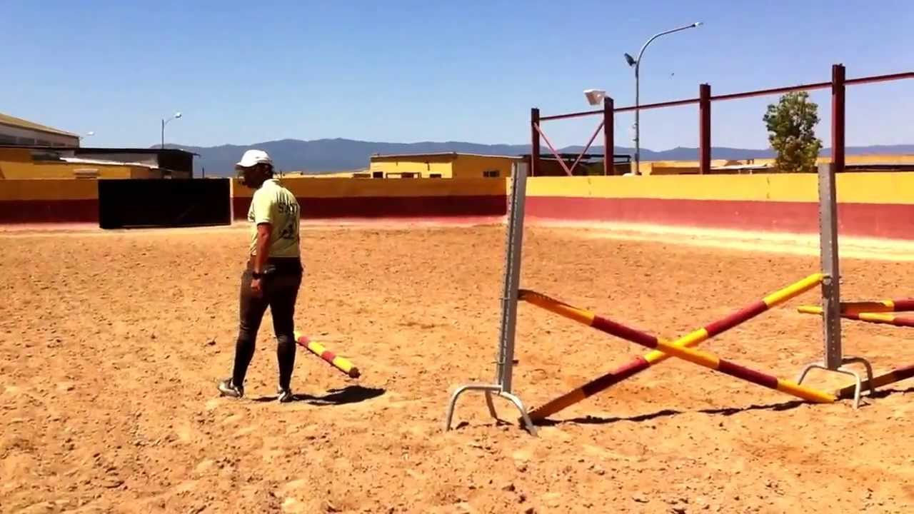 Juego De 3 Saltadores De Mantenimiento Gratuito Para Caballos De Juguete - Juguete Creativo Para Niños