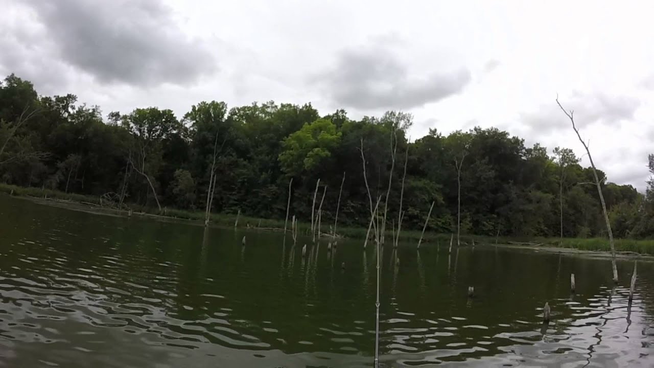 Overcast Shallow Topwater Bass Fishing (With New PB) YouTube
