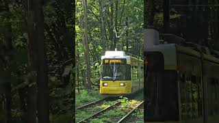 Berliner Straßenbahn