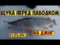 РЫБАЛКА НА ЩУКУ ВЕСНОЙ НА ДЖИГ! ЛОВЛЯ ЩУКИ ПЕРЕД ПАВОДКОМ! ЩУКА НА МАЛОЙ РЕКЕ! ЩУКА НА ДЖИГ ВЕСНОЙ