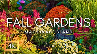 Amazing Fall Color & Fall Garden Tour On Mackinac Island, Michigan | Autumn Leaves & Flowers of 2025