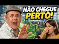 #zelezin PEDIU PRA NÃO CHEGAR PERTO... ELA NÃO OUVIU #ticaracaticast #humor