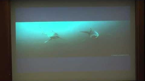 2014-03-26 CERIAS - Why so CERIAS!? Why we