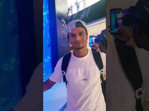 Underwater Zoo Dubai Mall! #shorts #dubaimall