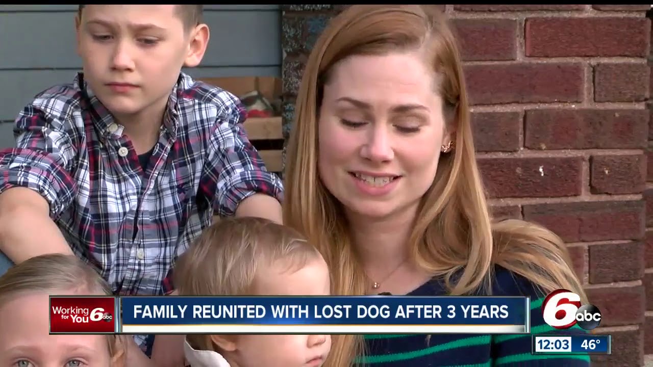 Stolen dog reunited with family three years later - YouTube